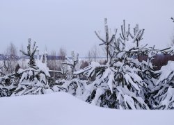 Зима, территория санатория