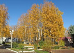Осень в санатории Волга (Кострома)