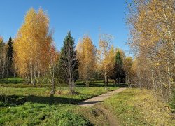 Осенняя территория санатория Волга (Кострома)
