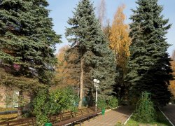 Территория осенью, санаторий Волга (Кострома)